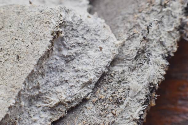 Occupational Asbestos Exposure Continues to Take Lives